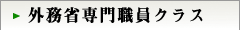 外務省専門職員クラス
