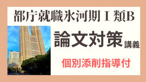 都庁就職氷河期１B論文添削付き